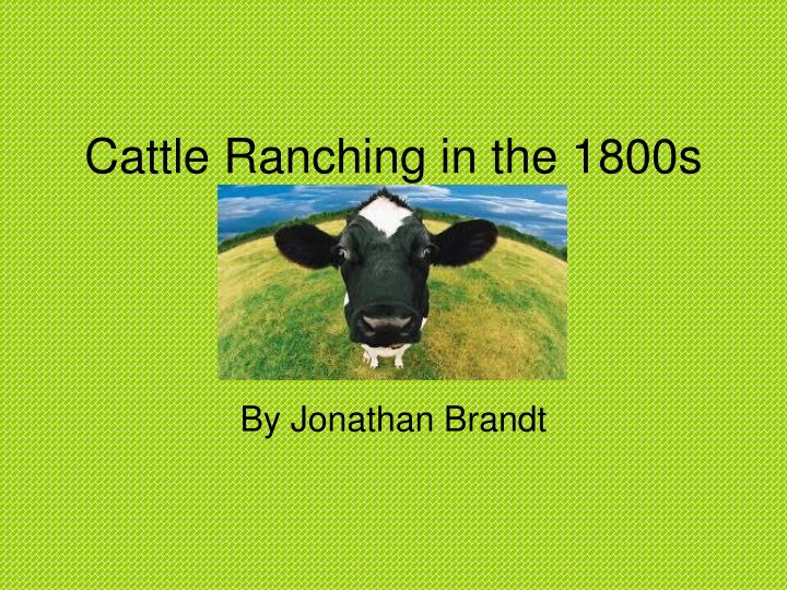 cattle ranching in the 1800s