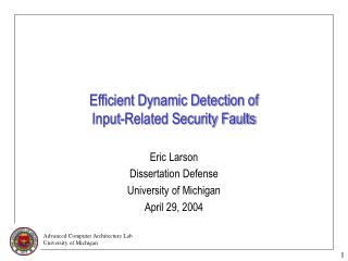 Efficient Dynamic Detection of Input-Related Security Faults