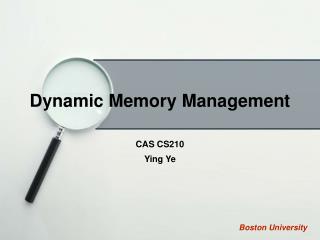 Dynamic Memory Management
