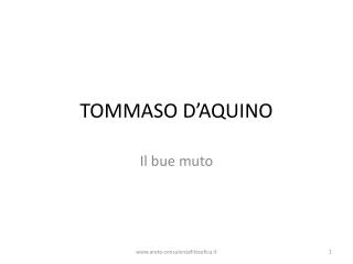 tommaso d aquino
