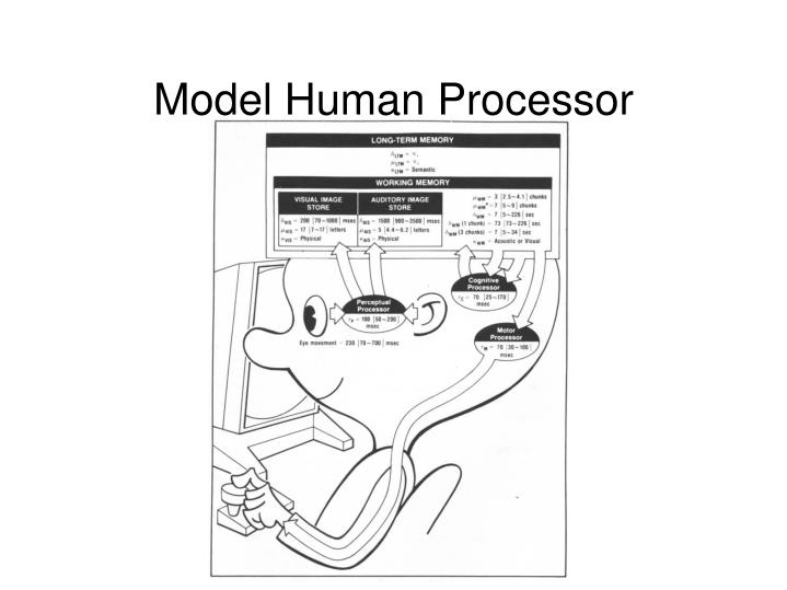 model human processor