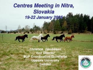 Centres Meeting in Nitra, Slovakia 19-22 January 2005