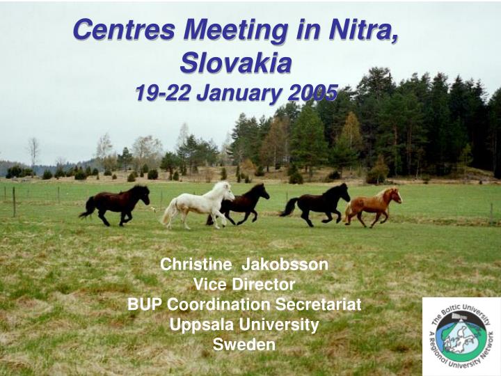 centres meeting in nitra slovakia 19 22 january 2005