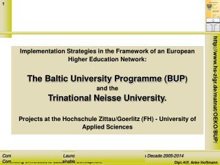 Implementation Strategies in the Framework of an European Higher Education Network: