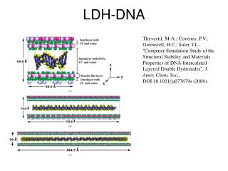 LDH-DNA