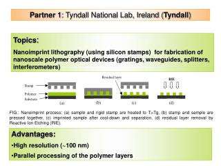 Partner 1 : Tyndall National Lab, Ireland ( Tyndall )