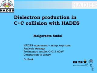 Dielectron production in C+C collision with HADES 		Malgorzata Sudol