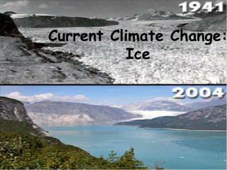 Current Climate Change: Ice