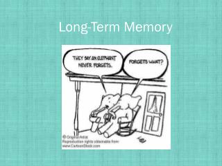 Long-Term Memory