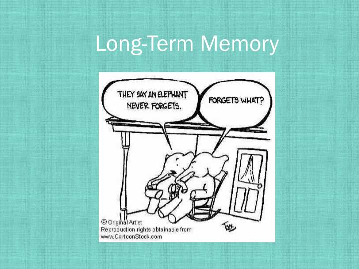 long term memory