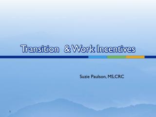 Transition &amp; Work Incentives