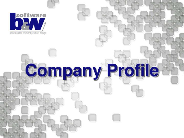 company profile