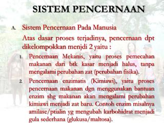 sistem pencernaan