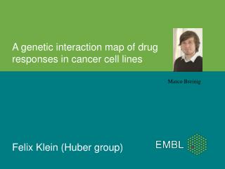 A genetic interaction map of drug responses in cancer cell lines Felix Klein (Huber group)