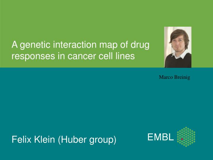 a genetic interaction map of drug responses in cancer cell lines felix klein huber group