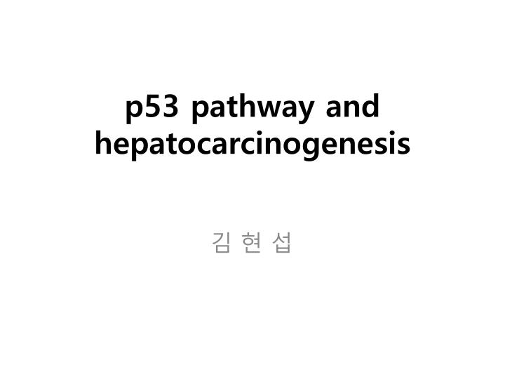 p53 pathway and hepatocarcinogenesis