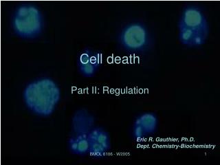 Cell death