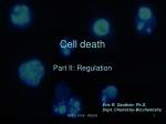 PPT - Mechanisms of Cell Death PowerPoint Presentation, free download ...
