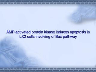 AMP-activated protein kinase induces apoptosis in LX2 cells involving of Bax pathway