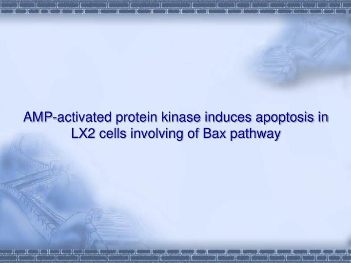 amp activated protein kinase induces apoptosis in lx2 cells involving of bax pathway