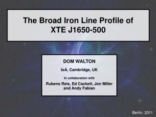 The Broad Iron Line Profile of XTE J1650-500