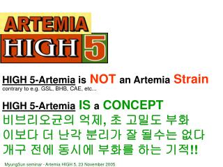 HIGH 5-Artemia IS a CONCEPT ?????? ?? , ? ??? ?? ??? ? ?? ??? ? ??? ?? ?? ?? ??? ??? ?? ?? !!