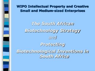 WIPO Intellectual Property and Creative Small and Medium-sized Enterprises