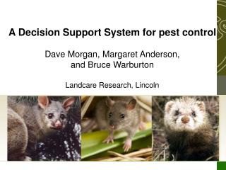 A Decision Support System for pest control Dave Morgan, Margaret Anderson, and Bruce Warburton