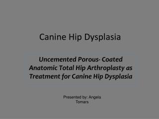 Canine Hip Dysplasia