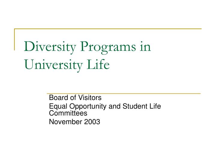 diversity programs in university life
