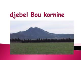 djebel bou kornine