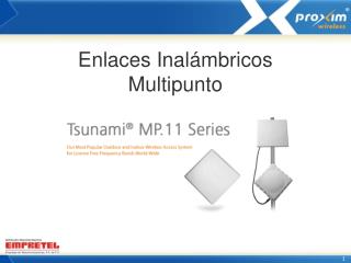 enlaces inal mbricos multipunto