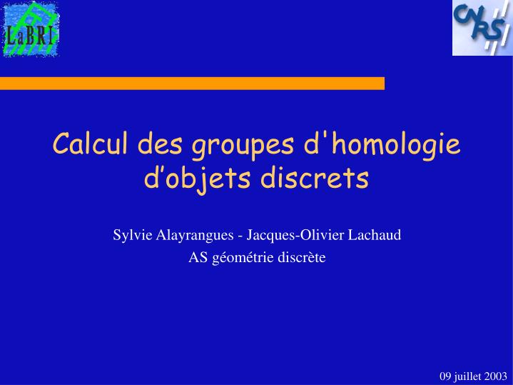 calcul des groupes d homologie d objets discrets