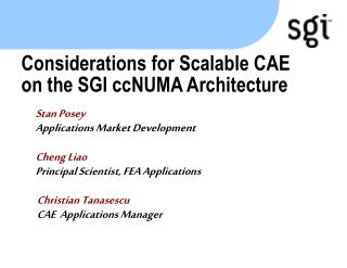 Considerations for Scalable CAE on the SGI ccNUMA Architecture