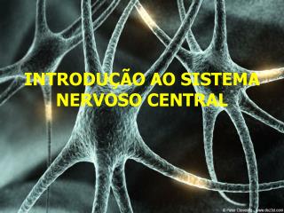 introdu o ao sistema nervoso central