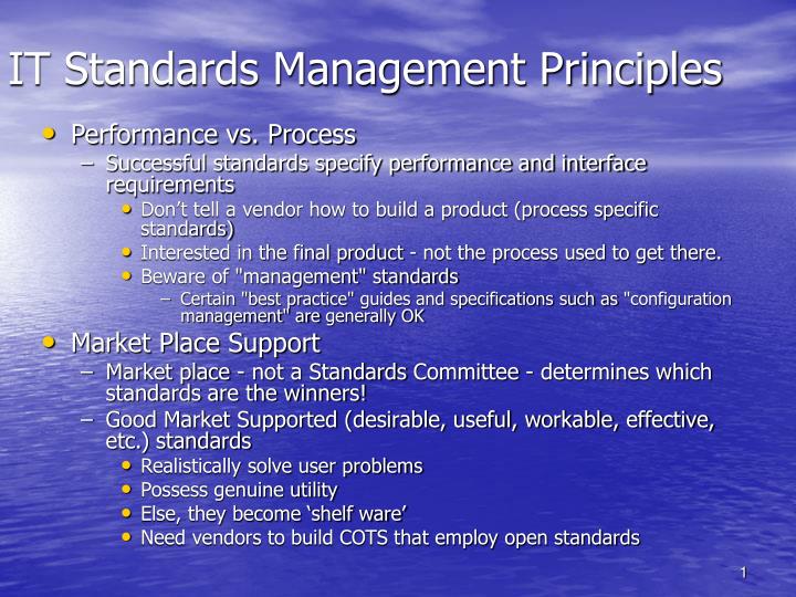 it standards management principles