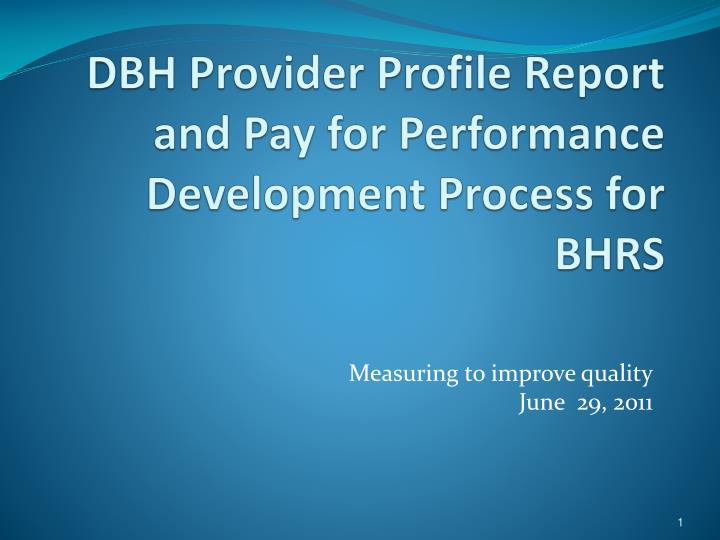 dbh provider profile report and pay for performance development process for bhrs