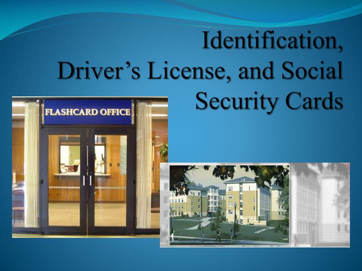 identification driver s license and social security cards