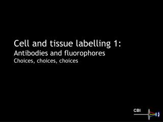 Cell and tissue labelling 1: Antibodies and fluorophores Choices, choices, choices