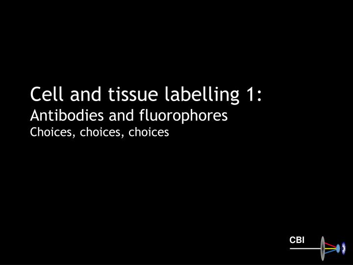 cell and tissue labelling 1 antibodies and fluorophores choices choices choices