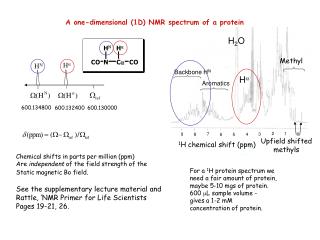 A one-dimensional (1D) NMR spectrum of a protein