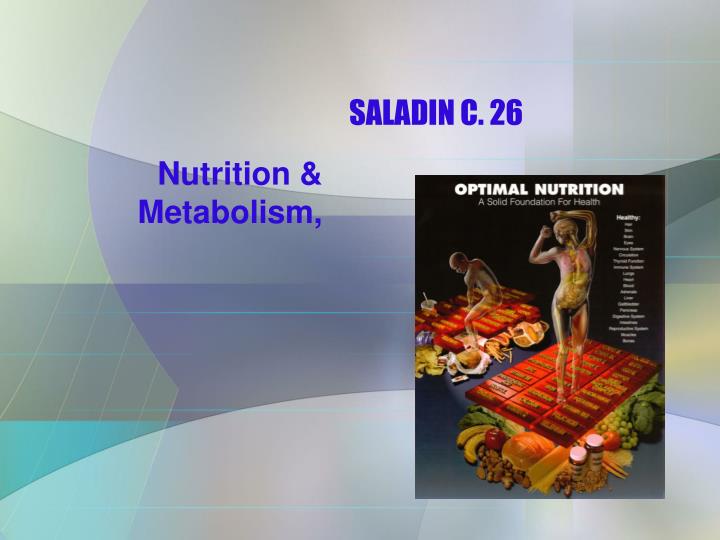 saladin c 26