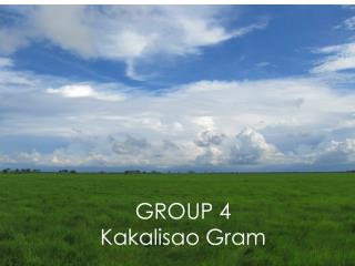 GROUP 4 Kakalisao Gram