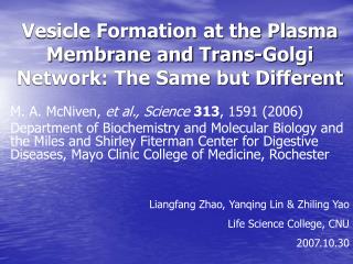 Vesicle Formation at the Plasma Membrane and Trans-Golgi Network: The Same but Different