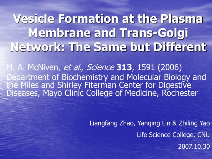 vesicle formation at the plasma membrane and trans golgi network the same but different