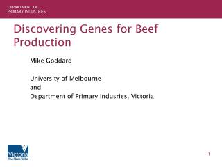 Discovering Genes for Beef Production