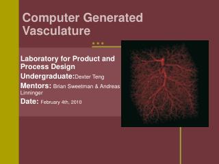 Computer Generated Vasculature