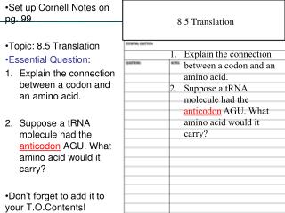 Set up Cornell Notes on pg. 99 Topic: 8.5 Translation Essential Question :