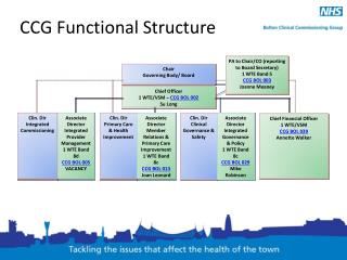 CCG Functional Structure