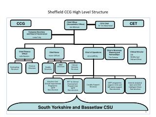 Sheffield CCG High Level Structure